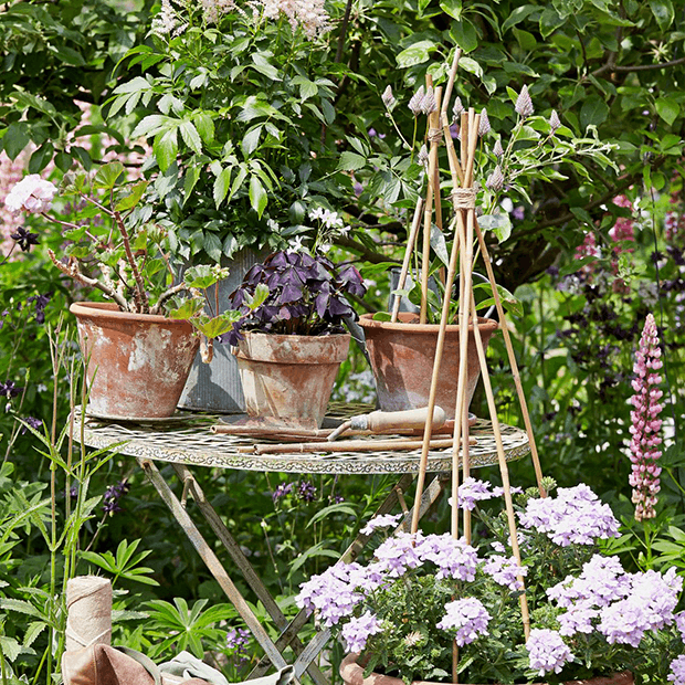 Planlæg din sommerhave nu