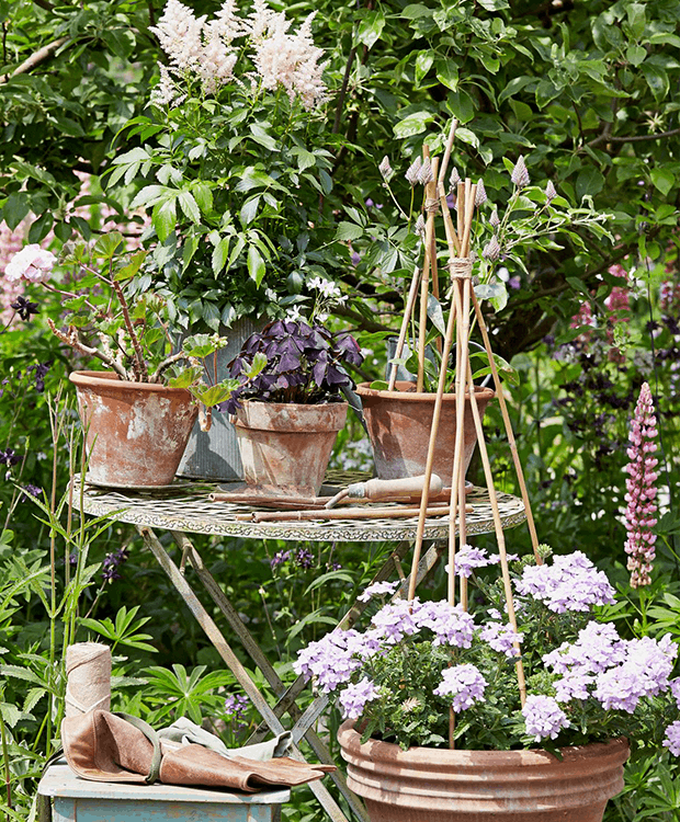 Planlæg din sommerhave nu