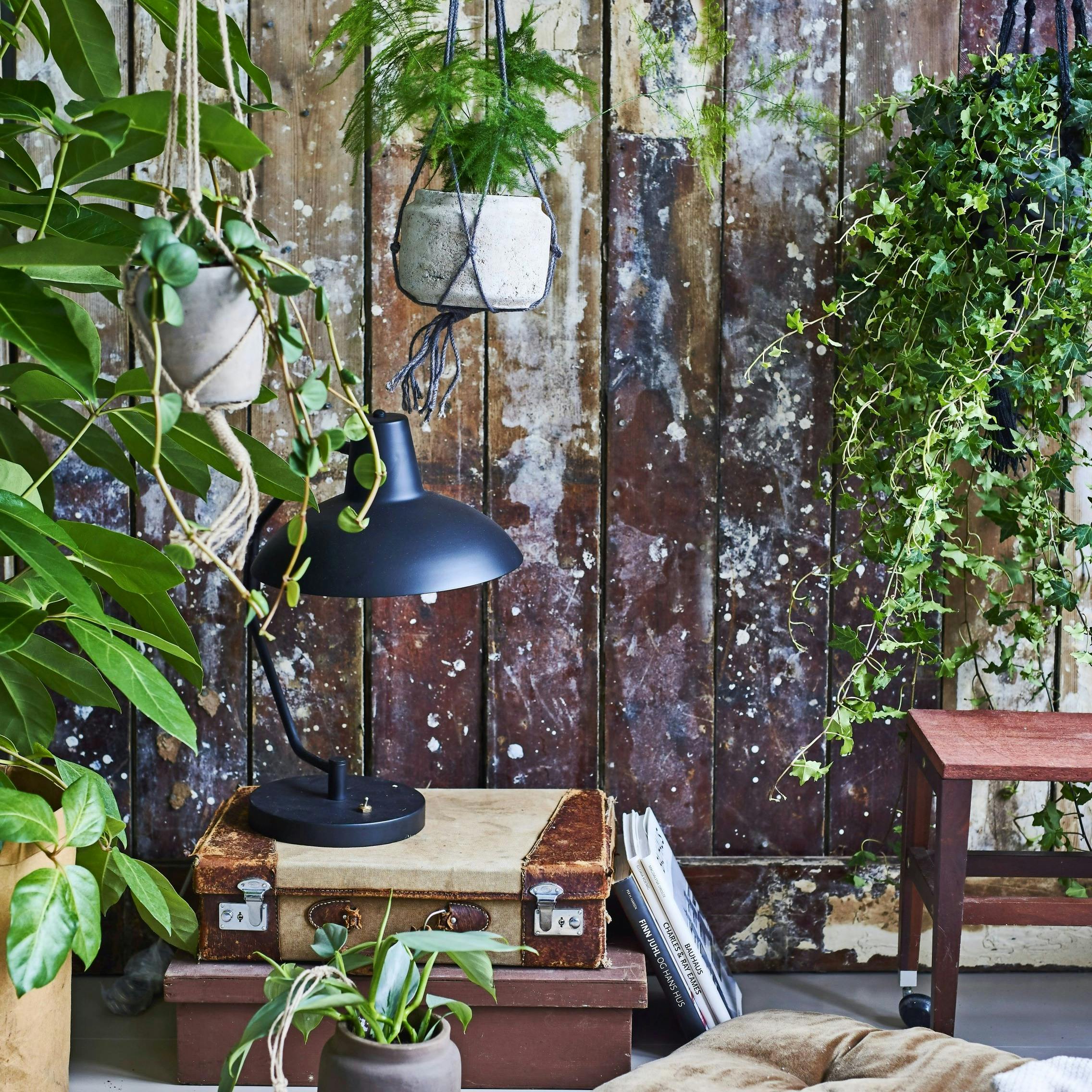 DIY: Sådan laver du planteophæng