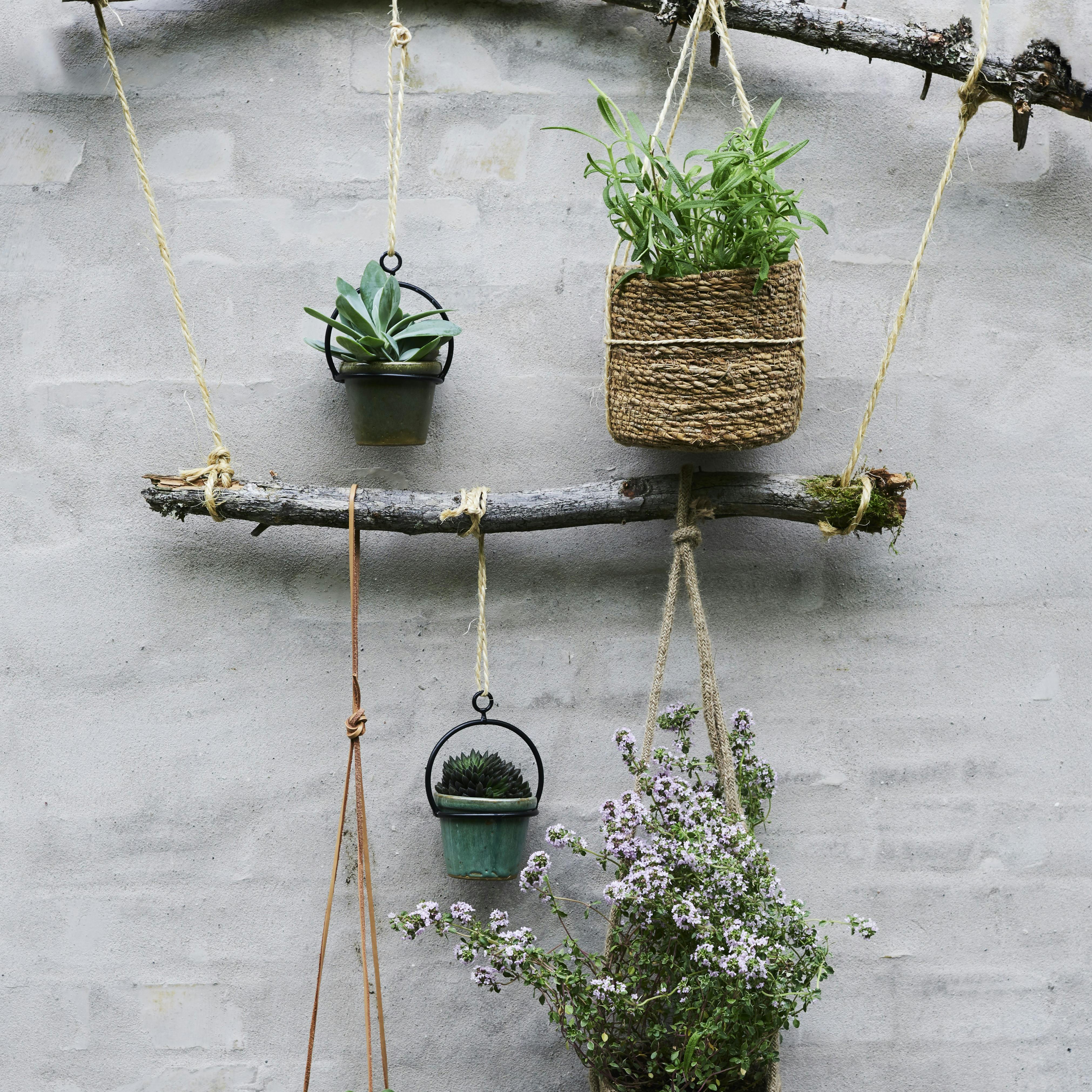 Stort planteophæng med grene