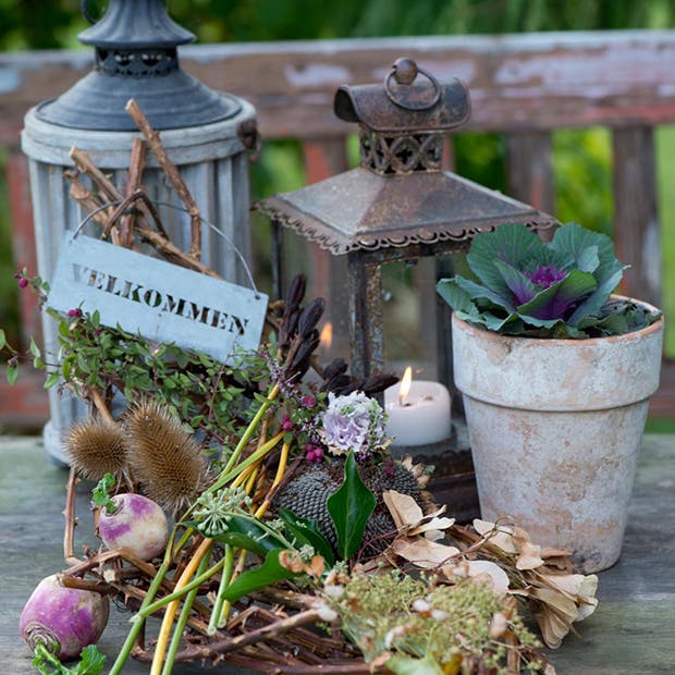 Pynt op med efterårets frøstande