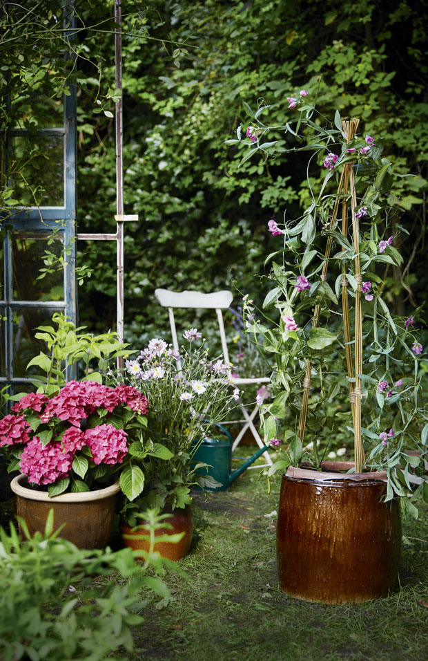 Et pyramideespalier af pil er den perfekte løsning til krukkehaven.