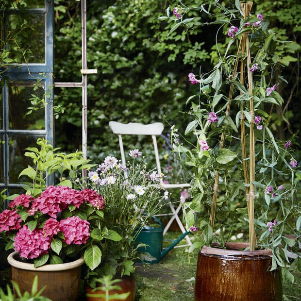 Et pyramideespalier af pil er den perfekte løsning til krukkehaven.