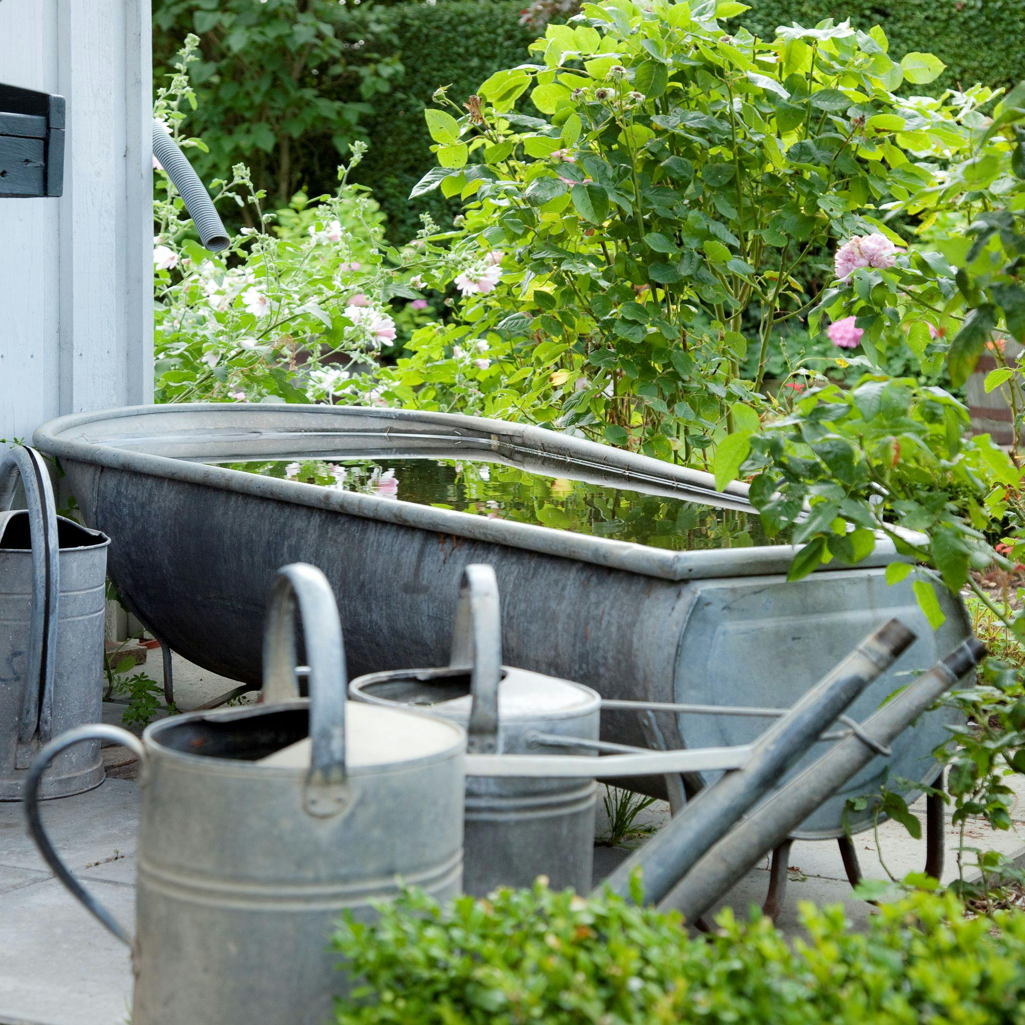 Guide til at genbruge regnvandet