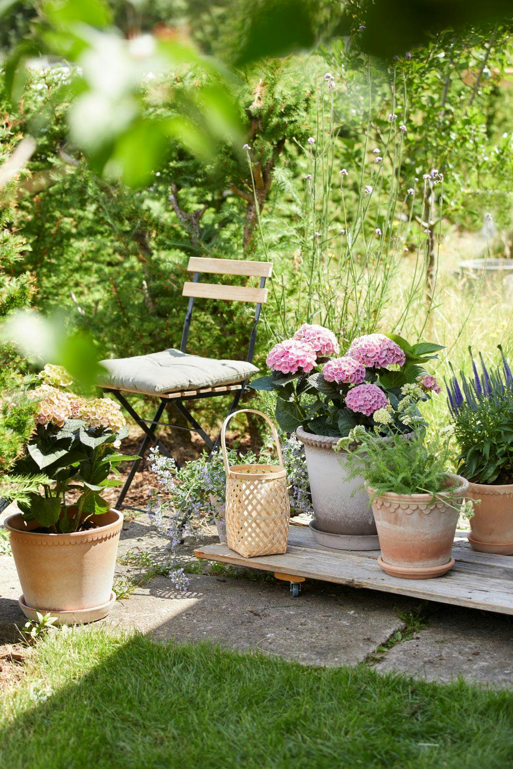 Rullebord til krukker