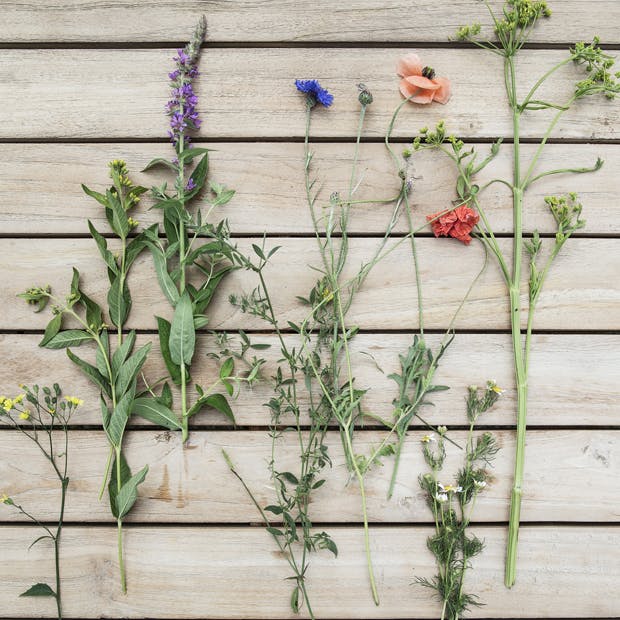 Pres smukke blomster - DIY
