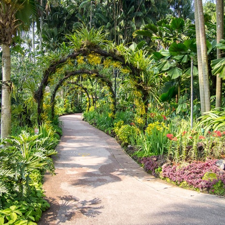 Singapore Botanic Garden er en skøn have, som virkelig er anbefalelsesværdig.