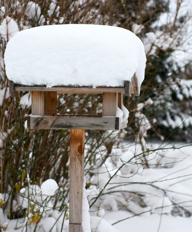 Beskyt dit drivhus imod det charmerende snedække
