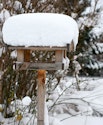 Beskyt dit drivhus imod det charmerende snedække