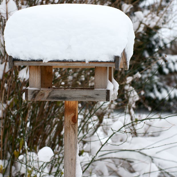Beskyt dit drivhus imod det charmerende snedække
