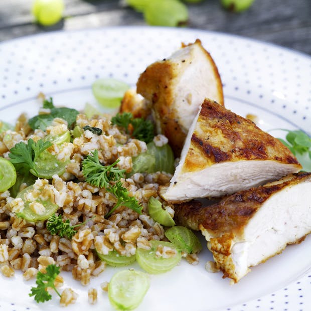 stikkelsbær-salat med kylling