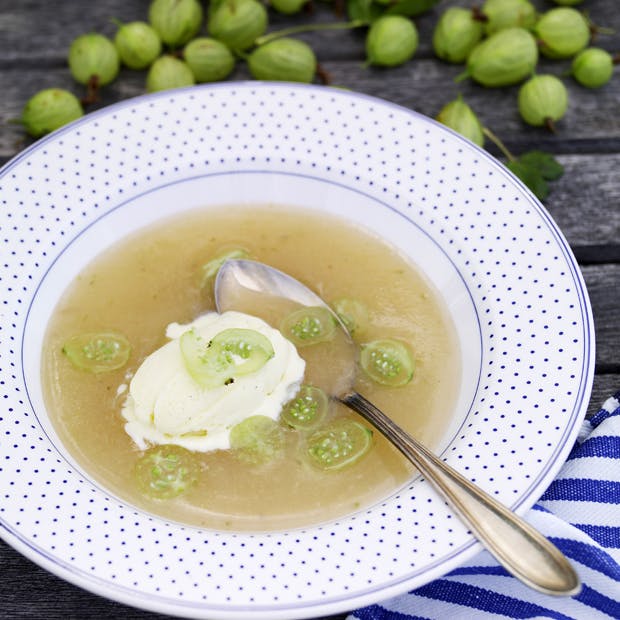 Stikkelsbærgrød med vaniljeis