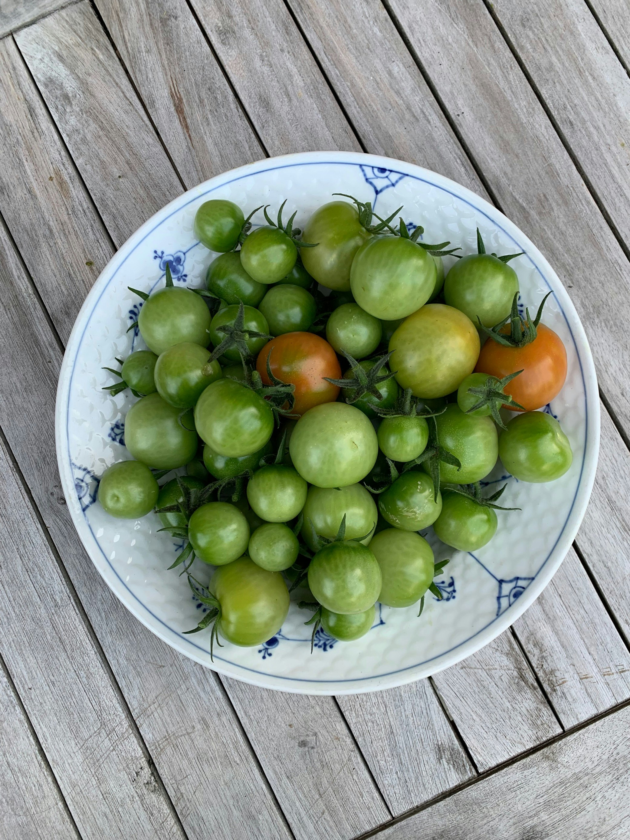 Brug de grønne tomater til syltede grønne tomater. 