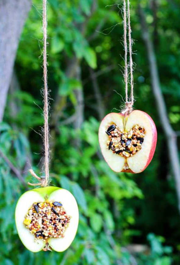 Foder i spiselig æbleform