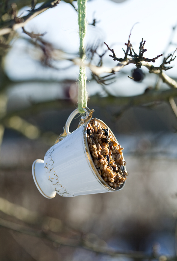 Idéer til fuglefoder