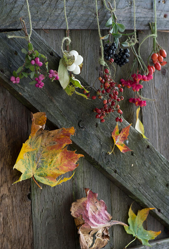 Bær på rad og række