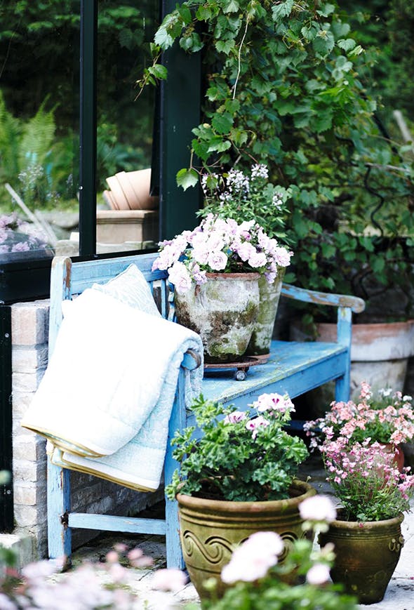 En blomstrende plads i solen