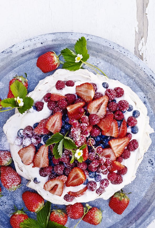 pavlova