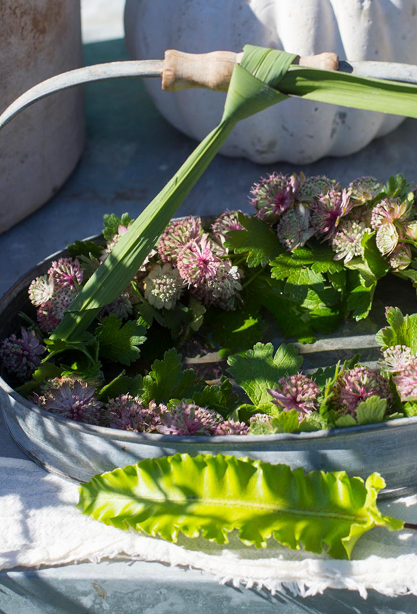Enkel krans med stjerneskærm