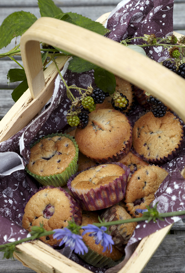 muffins med brombær