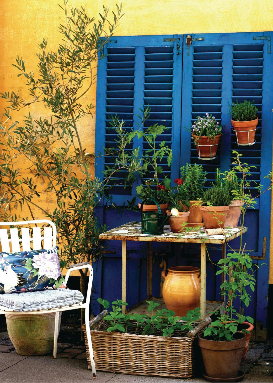 Krydderurter på terrassen