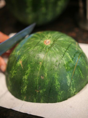 Vandmelon