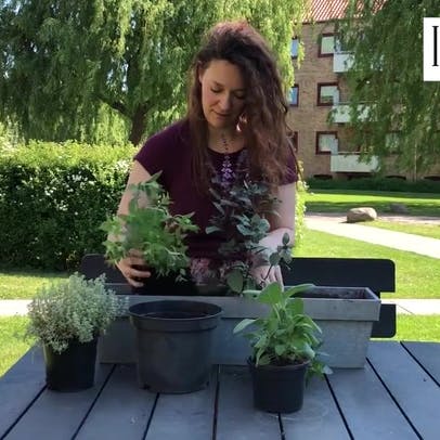 https://imgix.isabellas.dk/video_thumbnails/MDR2lXgX-n1EgJUfi.jpg